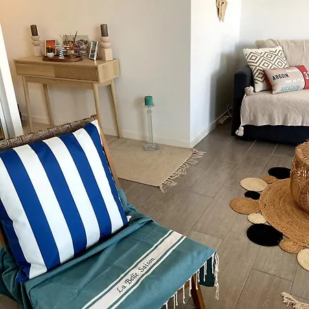 Le Logis Du Bassin - Meuble 3 Etoiles Apartment